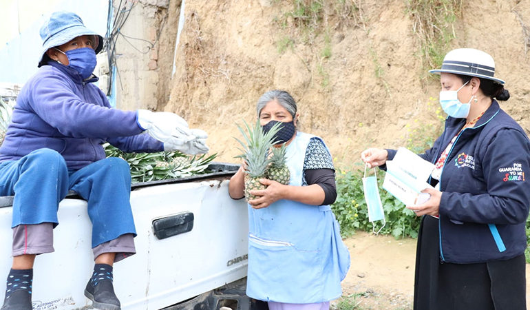 41 MIL PIÑAS SE ENTREGARON EN MÁS DE 30 SECTORES DEL CANTÓN