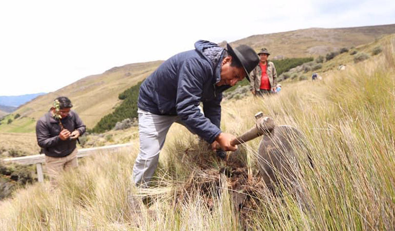 SEMANA DEL AGUA SE CONMEMORA CON LA SIEMBRA DE 4.000 ÁRBOLES NATIVOS