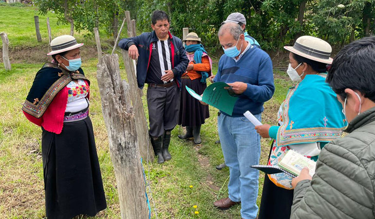 PROCESO DE LEGALIZACIÓN DE BIENES MOSTRENCOS EN SEGUNDA FASE