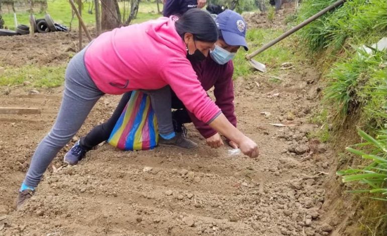 SEGUNDA FASE DEL PROYECTO “MI SEMILLA” SE ENFOCA A FORTALECER LA SEGURIDAD ALIMENTARIA.