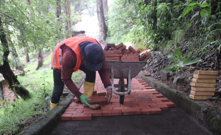 AVANCE EN LA REGENERACIÓN DEL PARQUE CAMILO MONTENEGRO