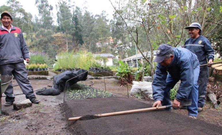 El VIVERO FORESTAL MUNICIPAL CONTRIBUYE A LA PRODUCCIÓN LOCAL